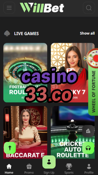 Casino 33.co - Best Online Casino Platform-bgocasinouk.ydblkf.net