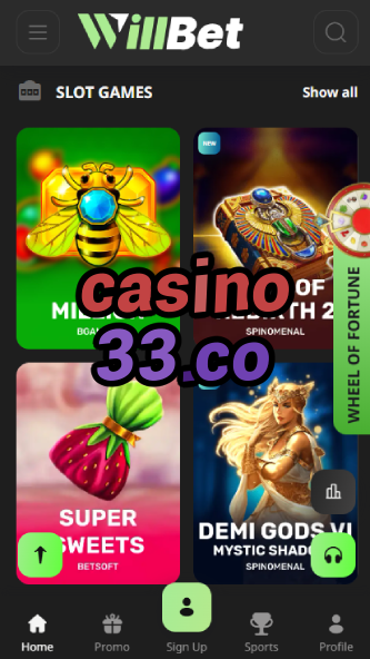 Casino 33.co - Best Online Casino Platform-bgocasinouk.ydblkf.net